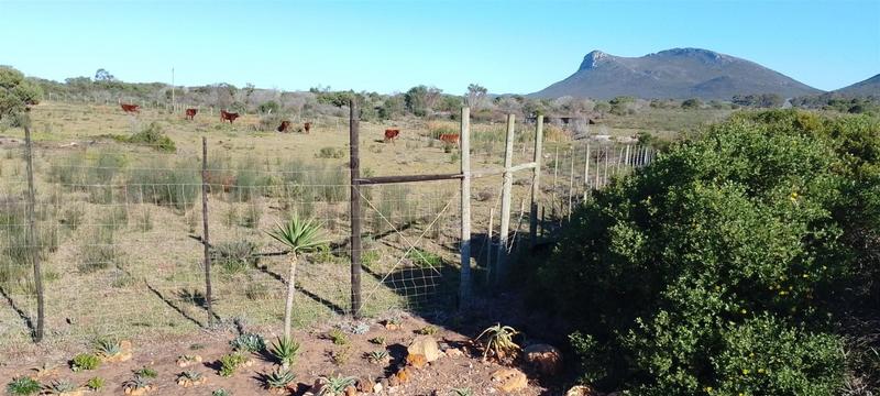0 Bedroom Property for Sale in Gouritsmond Western Cape